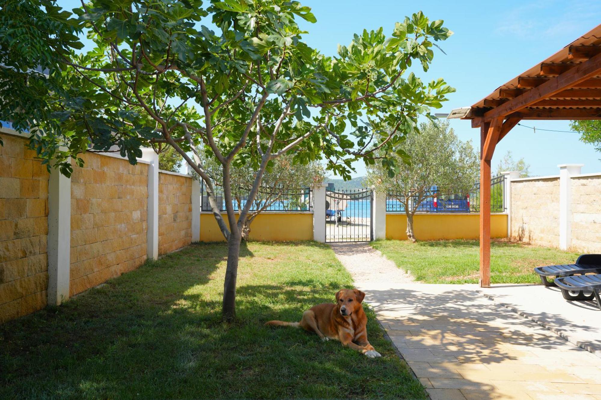 Holiday Home - Beach House 'Amarella' Турань Экстерьер фото
